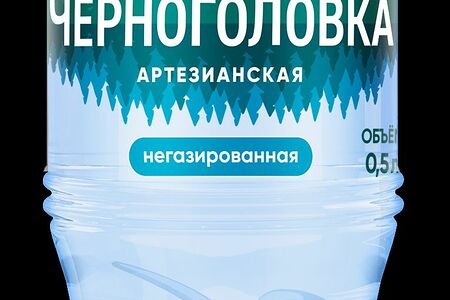 Вода Черноголовка негаз