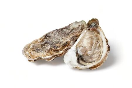 Устрица Хасанская №1