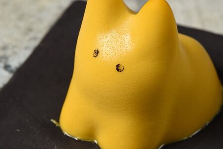 Кото-пудинг манго