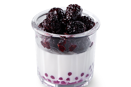 Панна-котта с ежевикой