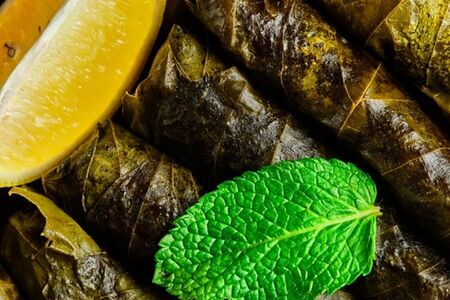 Долма с муссом мацони и гранатом