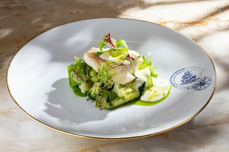 Палтус, овощи на пару, соус пармезан