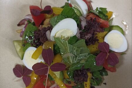 Салат овощной с маринадами