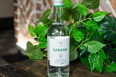 Вода Сарана газированная