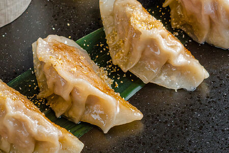 Гёдза с уткой