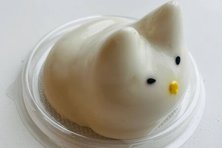 Панна-котик