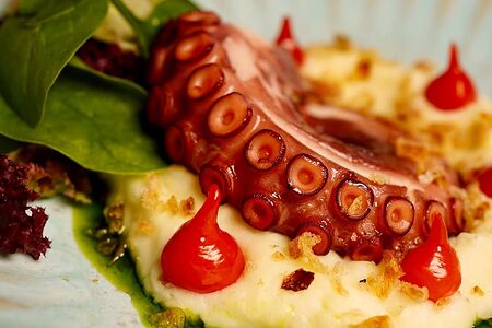 Марокканский Осьминог с картофелем