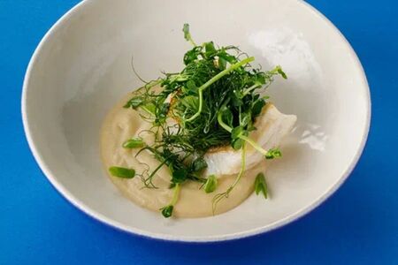 Судак с кремом из сельдерея