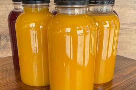 Новинка! Морс Облепиха Гимза