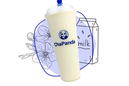 Молочный жасмин