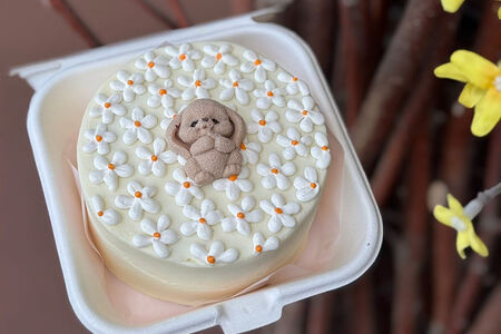 Ромашки и Зайка