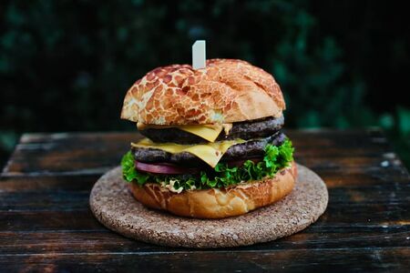 Бургер фирменный Mozart