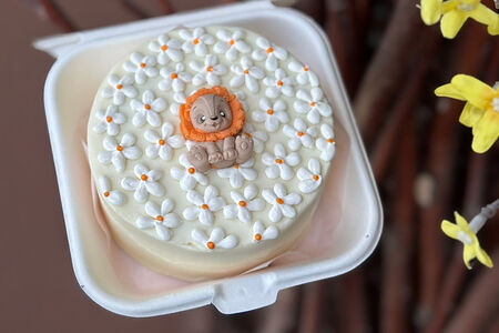 Ромашки и Львенок