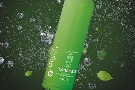 Мадлоба кактус