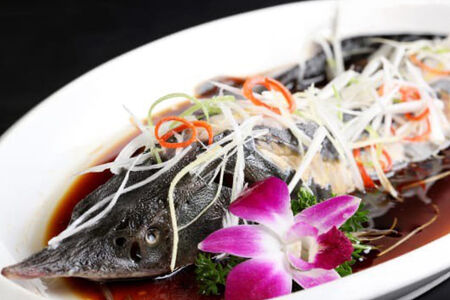 Щука в соленом соусе