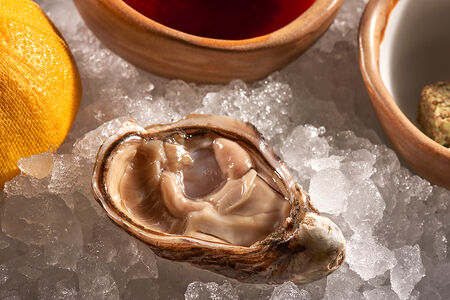 Устрица Розовая Джоли 