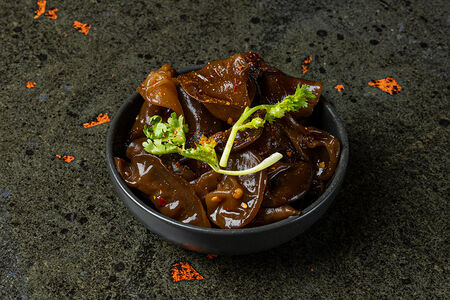 Древесные грибы