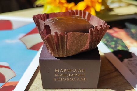 Мармелад Мандарин в шоколаде