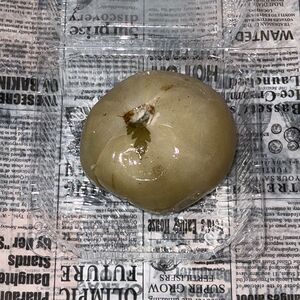 Зелёные помидоры малосолёные по-домашнему