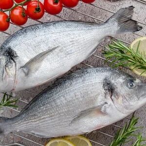 Дорадо свежемороженая 