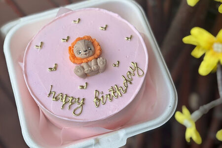 С днём рождения, Львенок 