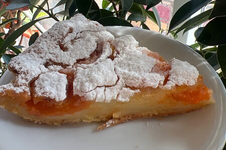 Шарлотка Вкус лета с абрикосом