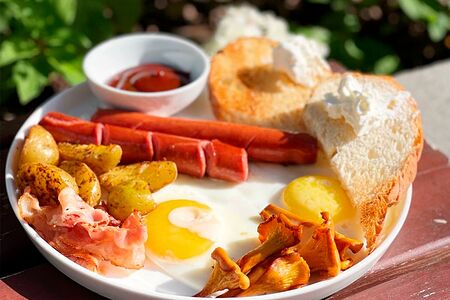 Завтрак лисёнка