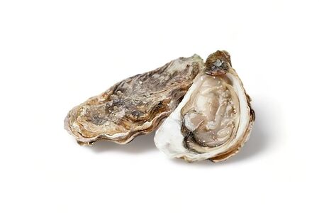 Устрица Императорская №1