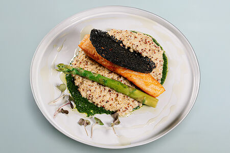 Арктический голец