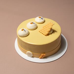 Медовик муссовый с клюквой и малиной без орехов