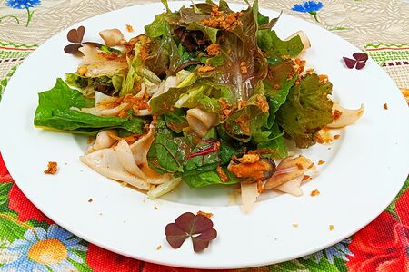 Кальмар с мидиями