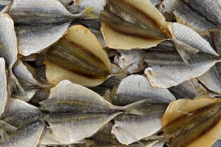 Желтый полосатик