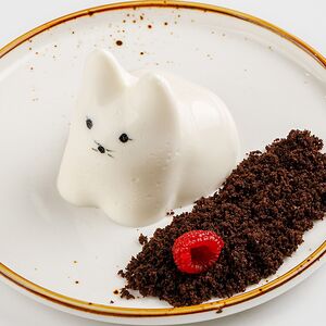 Котик паннакотик