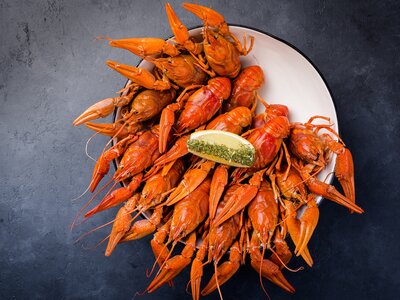Раки классические
