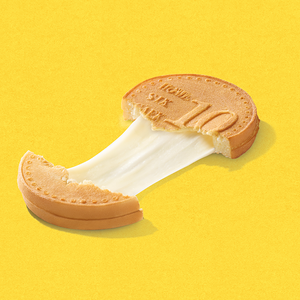 Сырная монетка