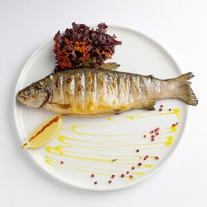 Радужная форель