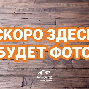 Шашлычок из телятины с абхазской аджикой и весенними овощами