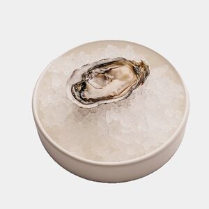 Устрица Маака