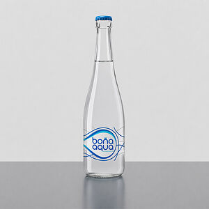 Вода бг Bona aqua 0,33 ст. бут. Россия