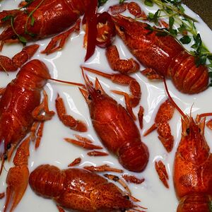 Раки в сливочном бульоне средние