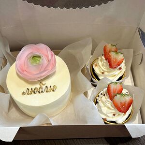 Набор бенто и 2 капкейка