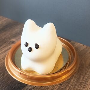 Сливочный котик