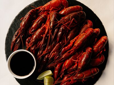 Раки