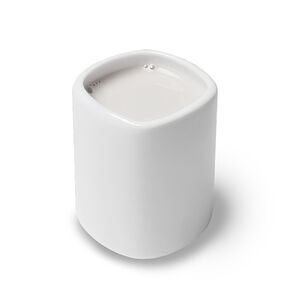 Дополнительная порция кокосового молока