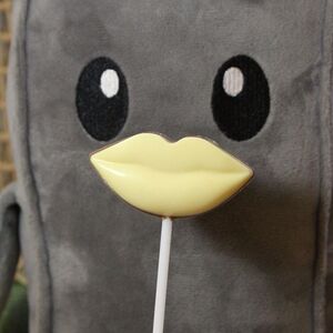 Губки на палочке