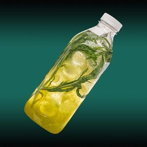 Лимонад Тархун 1л