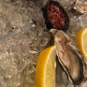 Устрица Джоли