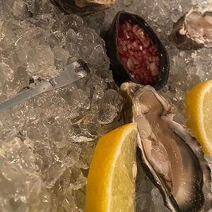 Устрица Джоли