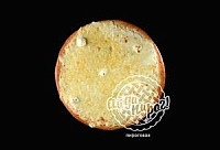 Пицца Четыре сыра (23см)