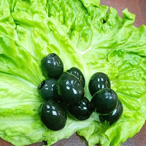 Маслины